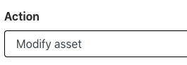 Modify asset fields