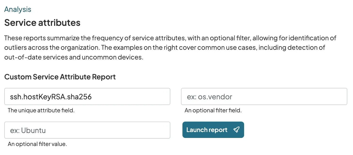 A partial screenshot of runZero showing how to launch the Service attributes report.